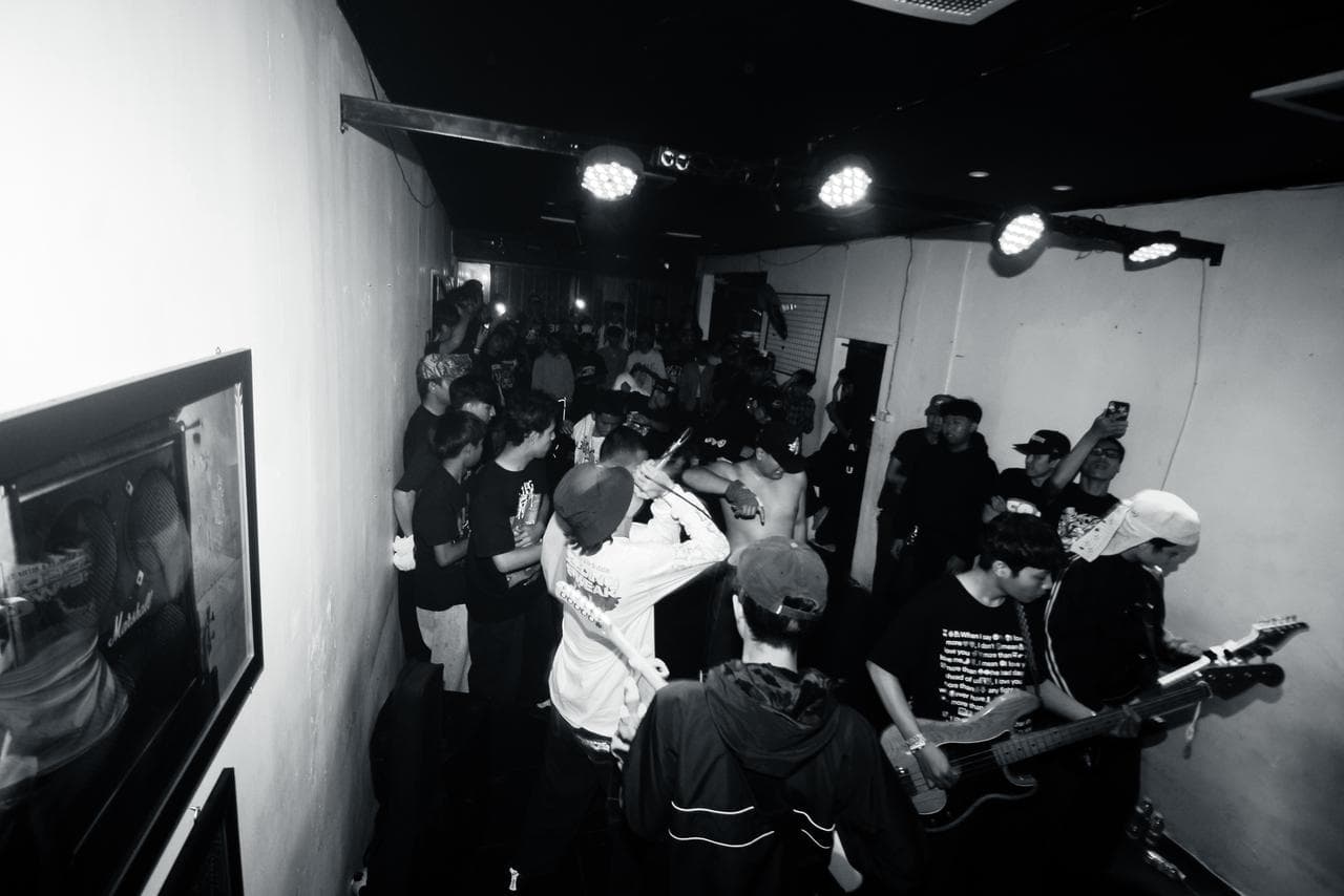 Dishy live photo 5